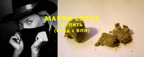 spice Белокуриха