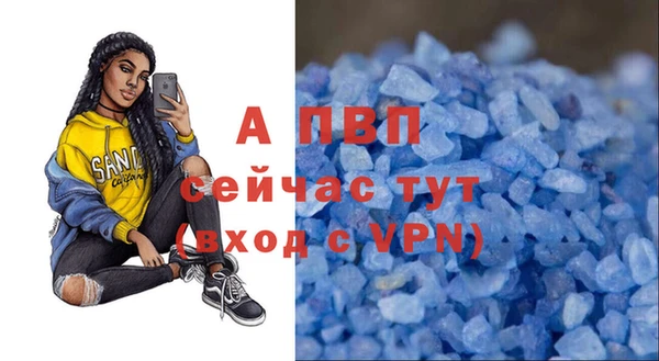 spice Белокуриха