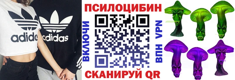 Псилоцибиновые грибы прущие грибы  что такое   Корсаков 